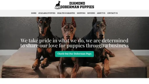 A screenshot of Diamonddobermanpuppies.com