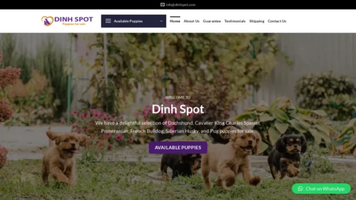 A screenshot of Dinhspot.com