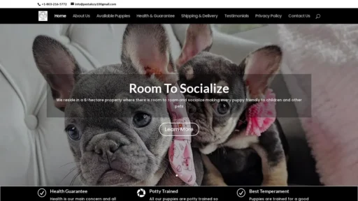 A screenshot of Divinefrenchie.com