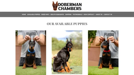 A screenshot of Dobermanchambers.com