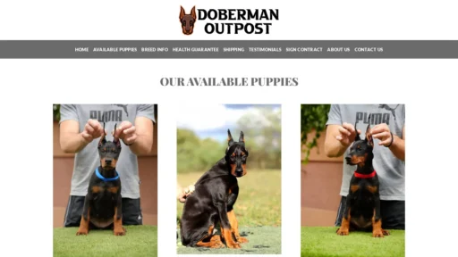 A screenshot of Dobermanoutpost.com