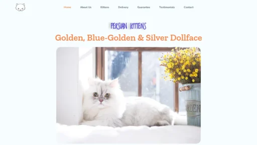 A screenshot of Dollfacekitty.com