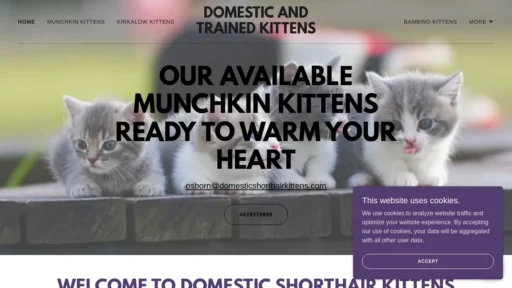 A screenshot of Domesticshorthairkittens.com