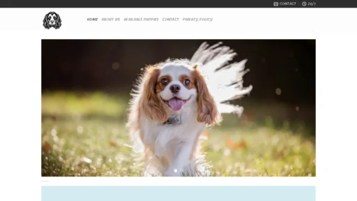 A screenshot of Dreamcavaliers.com