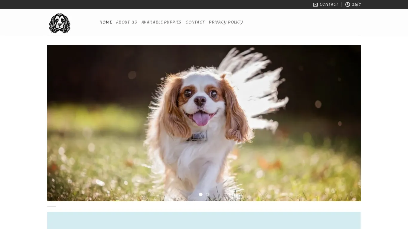 is Home - Dreams Cavaliers Pups legit? screenshot
