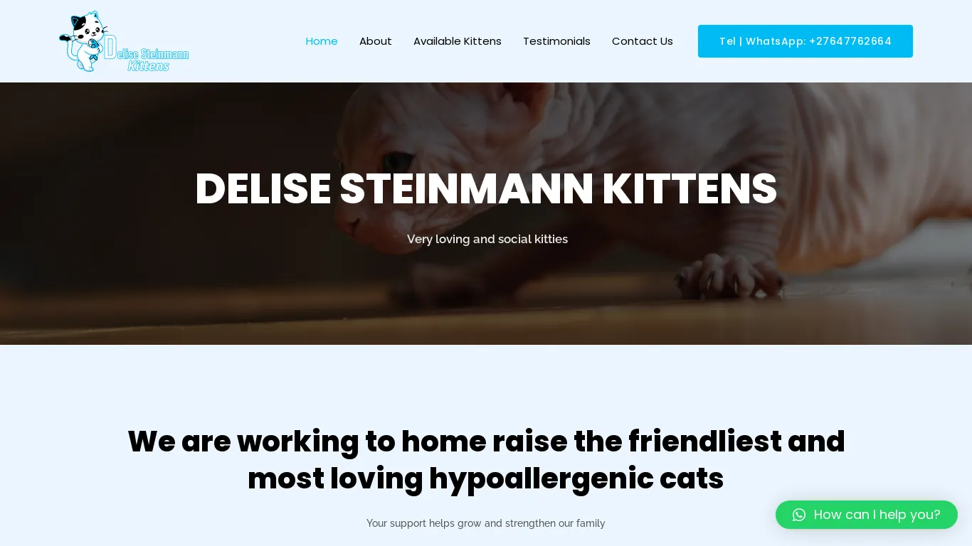is Delise Steinmann Kittens – Kittens For Sale legit? screenshot