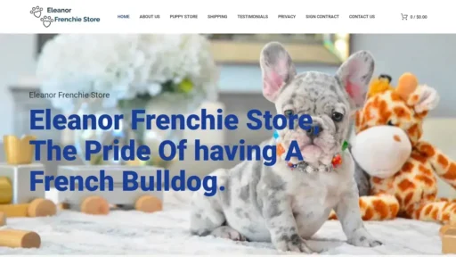 A screenshot of Eleanorfrenchiestore.com