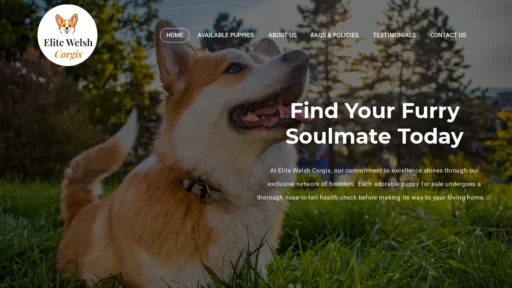 A screenshot of Elitewelshcorgis.com