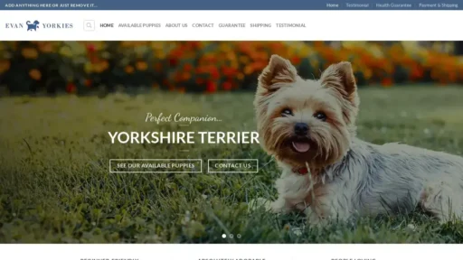 A screenshot of Evanyorkies.com
