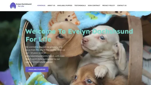 A screenshot of Evelyndachshsundforlife.com