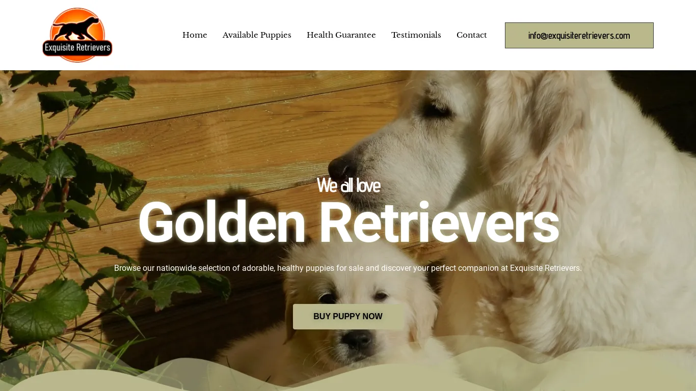 is Golden Retrievers Puppies | Golden Retrievers | Golden Retrievers puppy for sale legit? screenshot