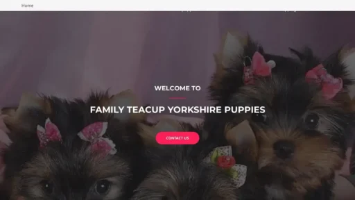 A screenshot of Familyteacupyorkshirepuppies.com