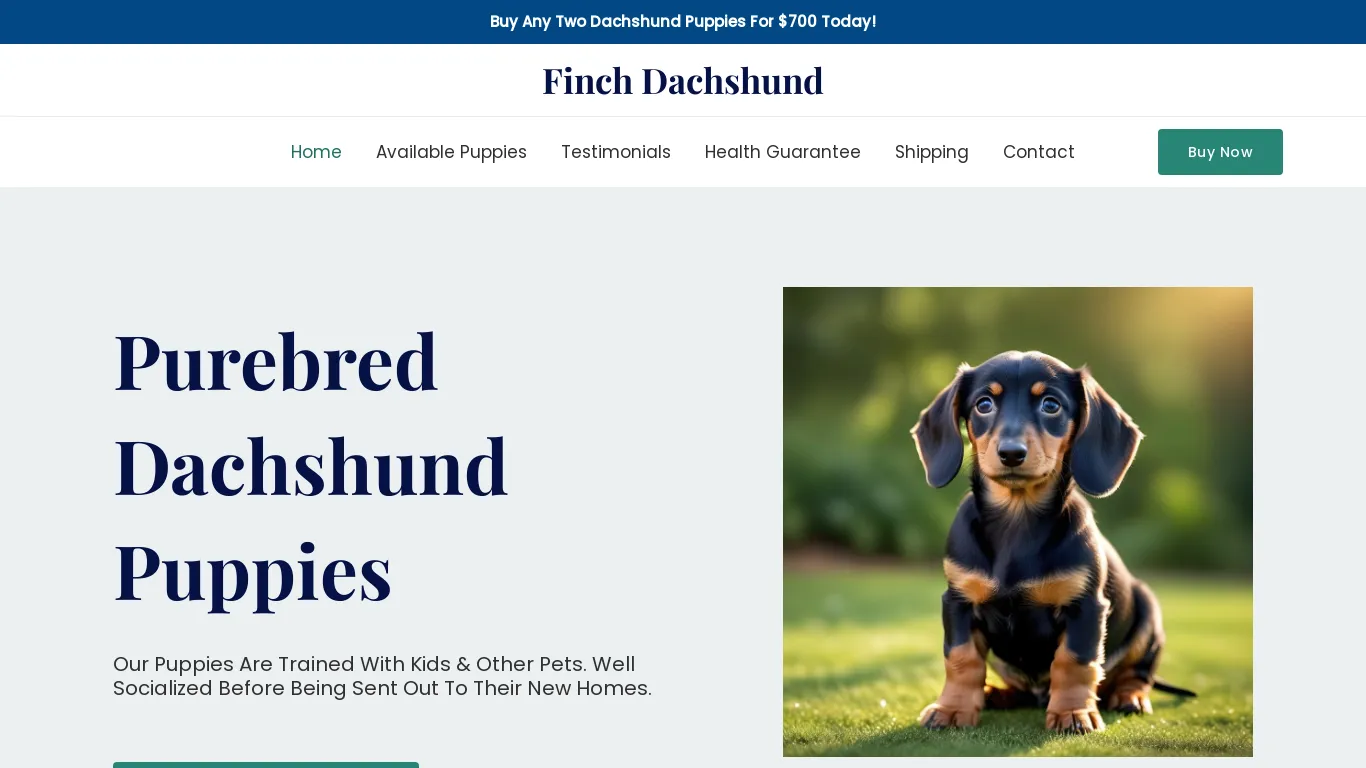 is Finch Dachshund – Purebred Dachshund Puppies For Sale legit? screenshot