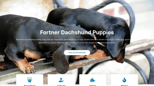 A screenshot of Fortnerdachshundpuppies.com