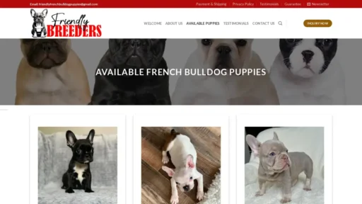 A screenshot of Friendlyfrenchbulldogbreeders.com