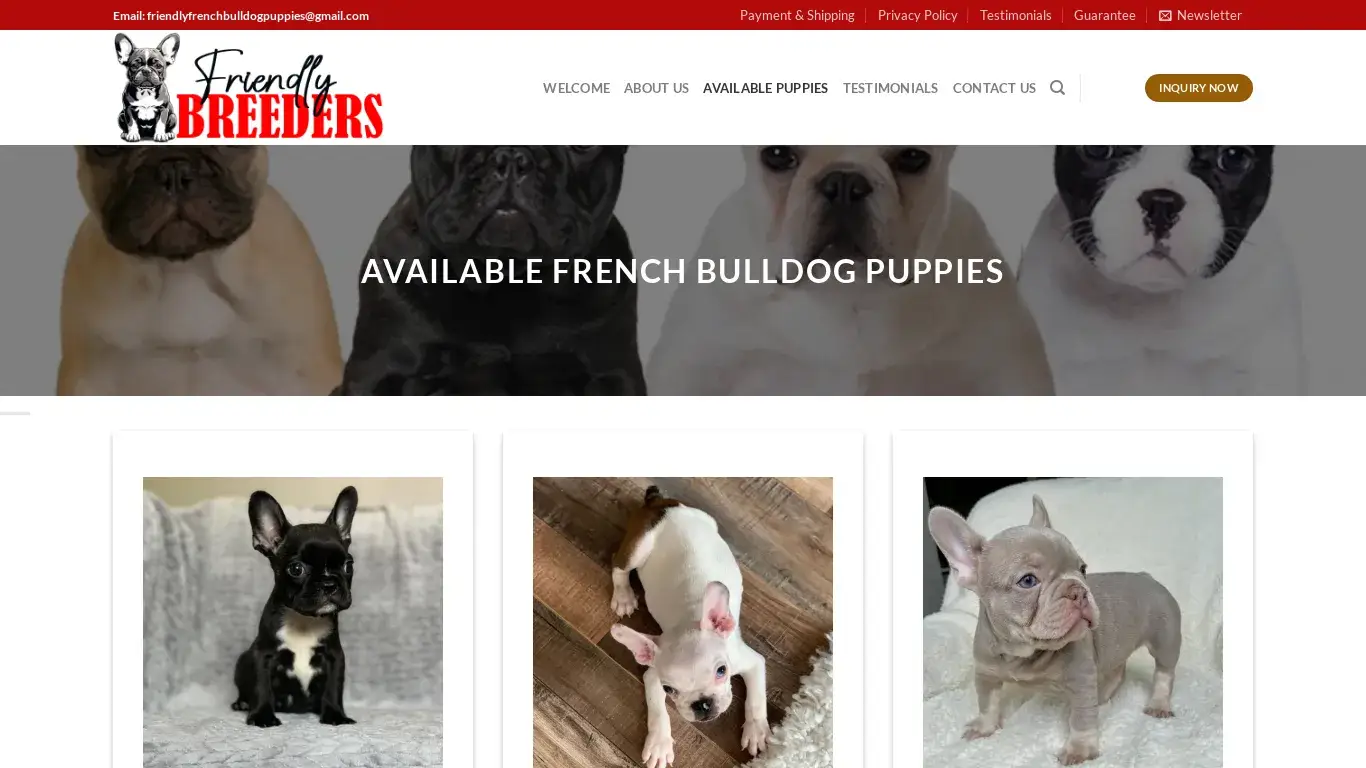 is FRIENDLY FRENCH BULLDOG BREEDERS – Adorable French Bulldog puppies Home legit? screenshot