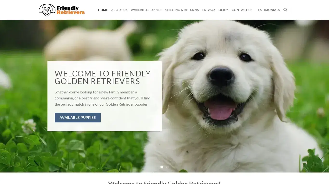 is Golden Retrievers For Sale Near Me - Friendly Golden Retrievers legit? screenshot