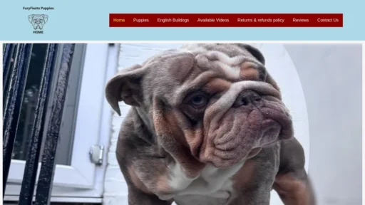 A screenshot of Furyfiestabulldogs.com