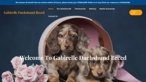 A screenshot of Gabrielledachshundbreed.com