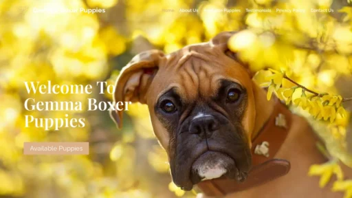 A screenshot of Gemmaboxerpuppies.com