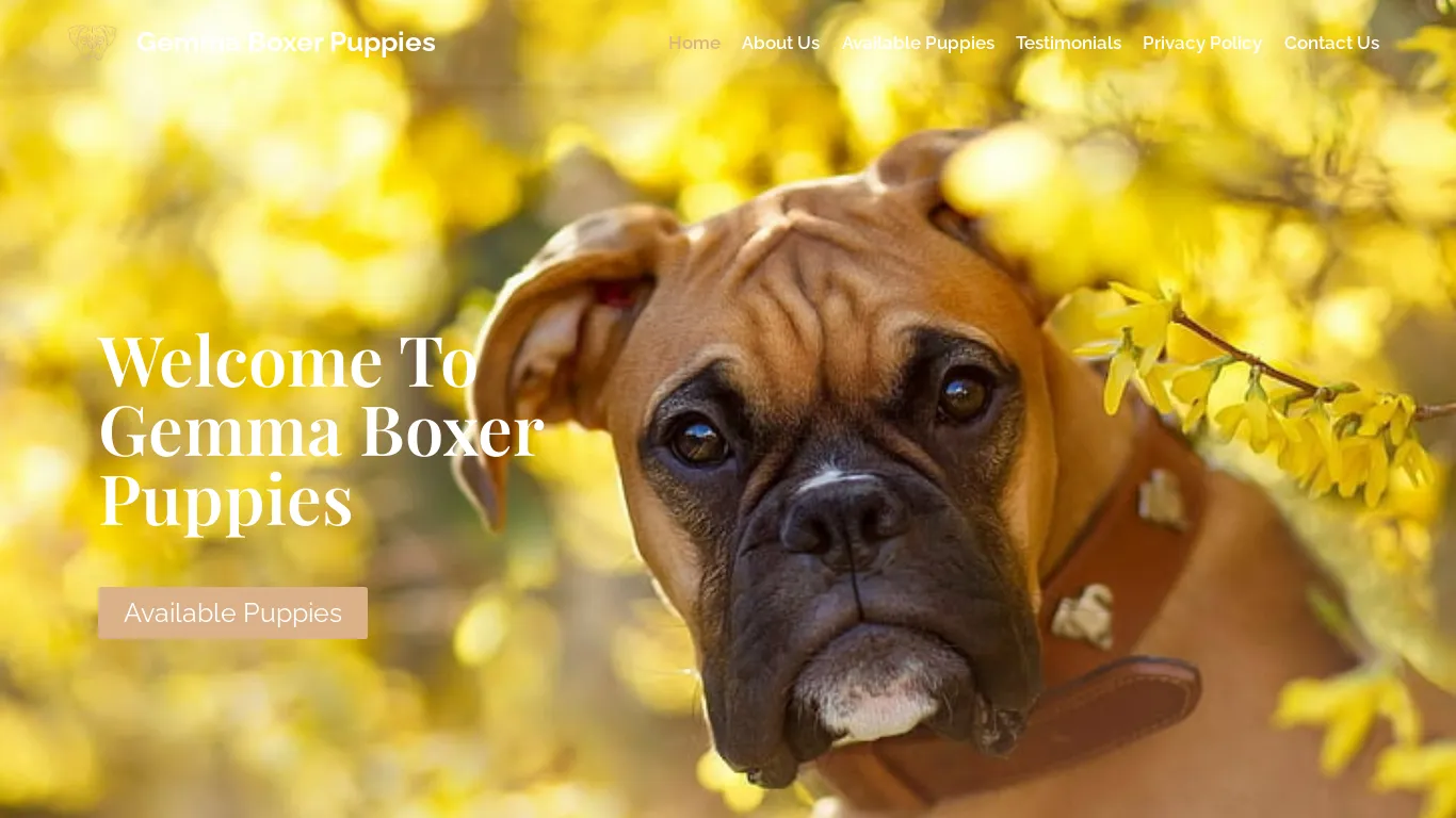 is gemmaboxerpuppies.com legit? screenshot