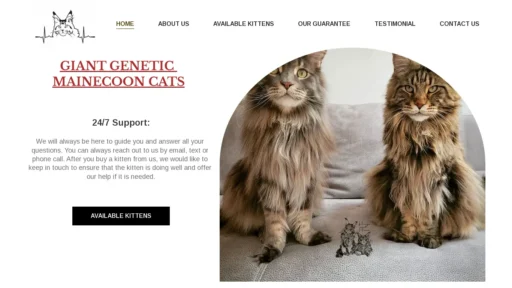 A screenshot of Giantgeneticmainecoonkiittens.com