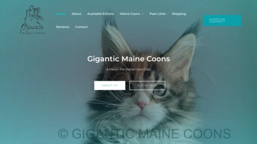 A screenshot of Giganticmainecoons.com