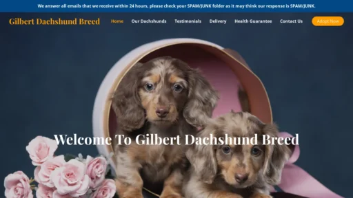 A screenshot of Gilbertdachshundbreed.com