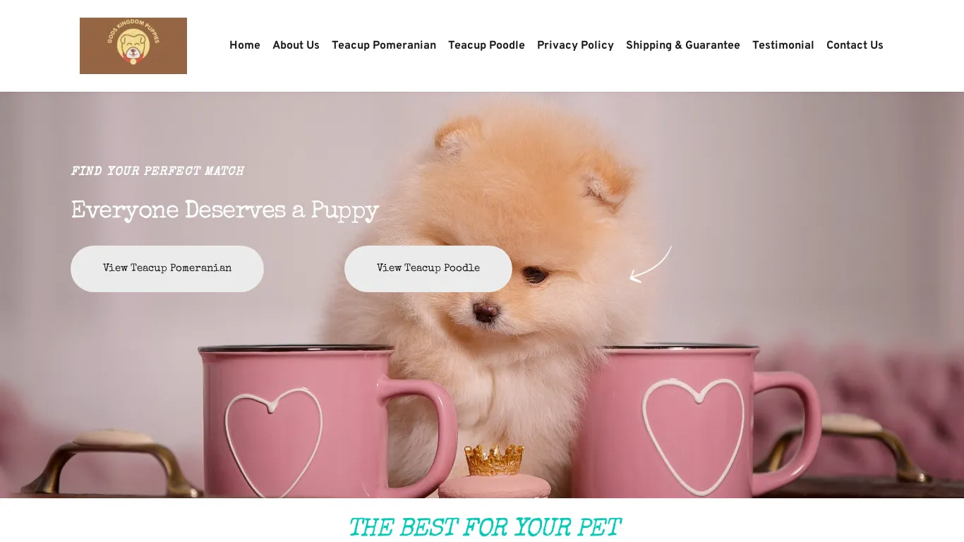 is godskingdompuppies.com – Healthy Puppies For Sale legit? screenshot