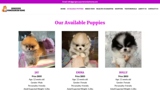 A screenshot of Gorgeouspomeranianhome.com