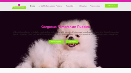 A screenshot of Gorgeouspomeranianpuppies.com