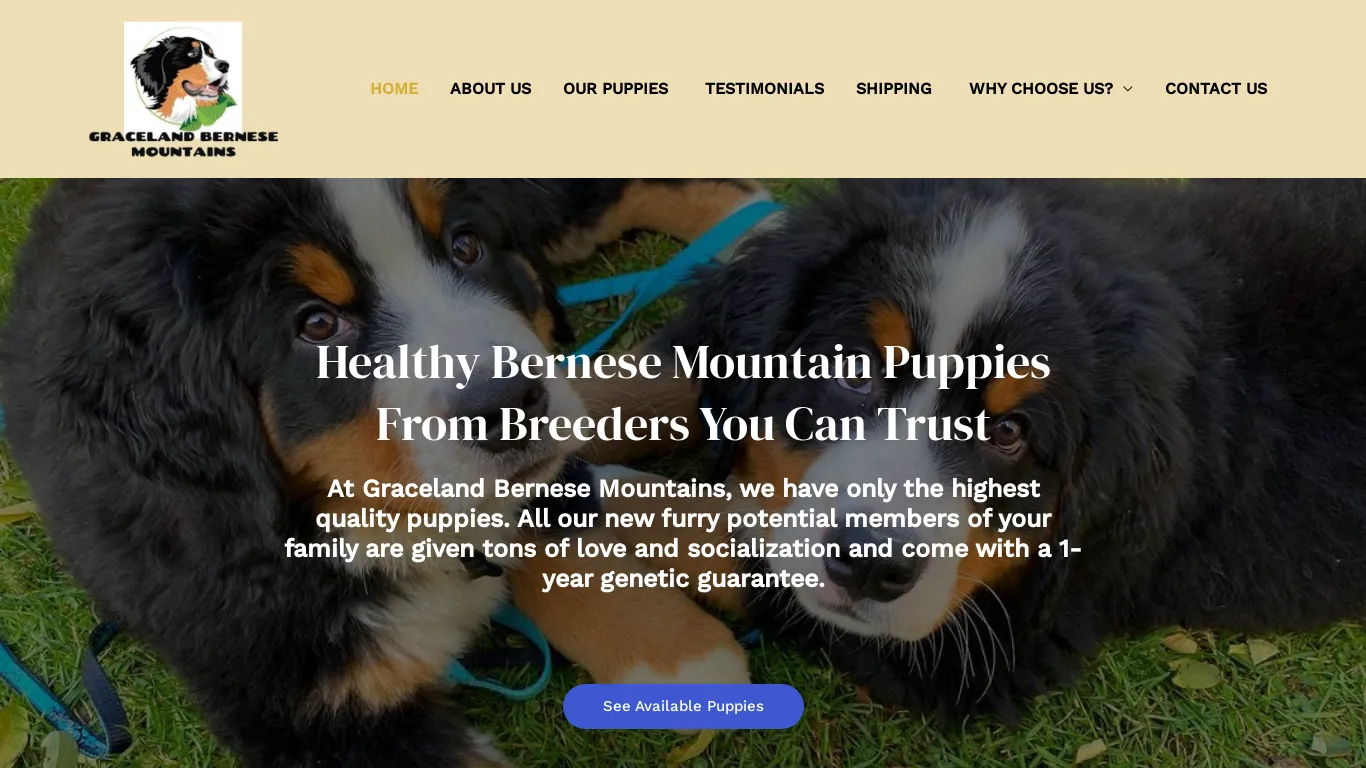 is Graceland Bernese Mountains – Certified Bernese Mountains Breeder legit? screenshot
