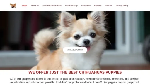 A screenshot of Gracelandchihuahuas.com