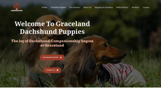 A screenshot of Gracelanddachshundpuppies.com