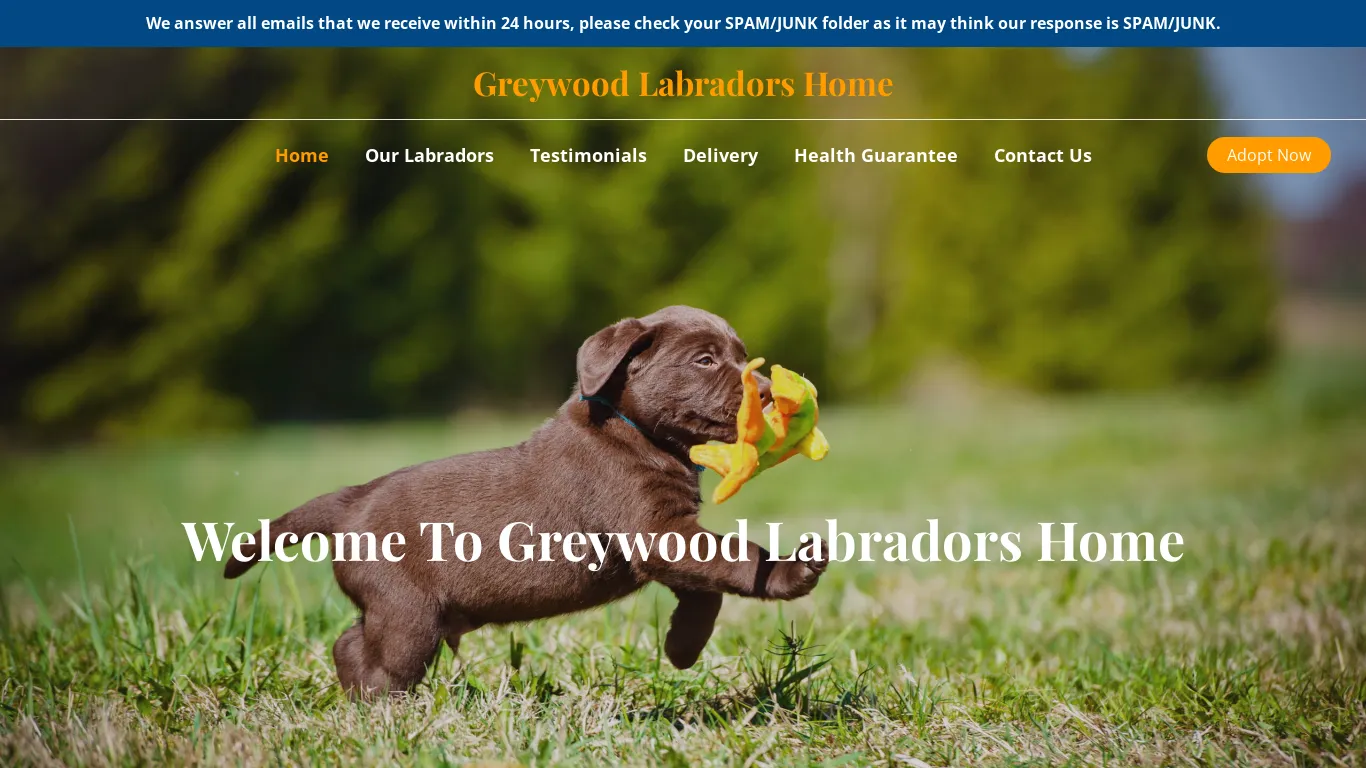 is Greywood Labradors Home – Purebred Labrador Retrievers For Sale legit? screenshot