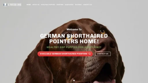 A screenshot of Gspointershome.com
