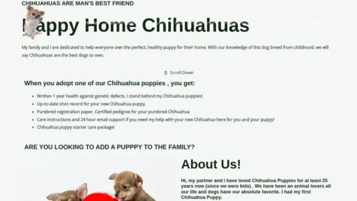 A screenshot of Happyhomechihuahuas.com