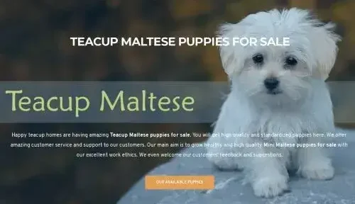 A screenshot of Happyteacuphome.com
