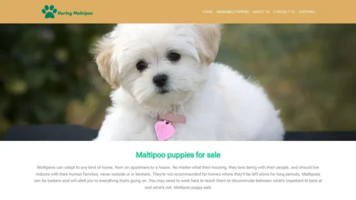 A screenshot of Harleymaltipoopp.com