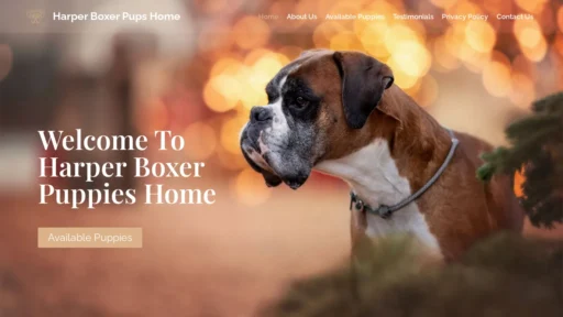 A screenshot of Harperboxerpupshome.com
