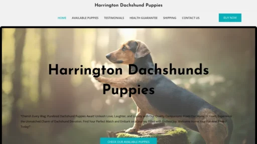 A screenshot of Harringtondachshundpuppies.com