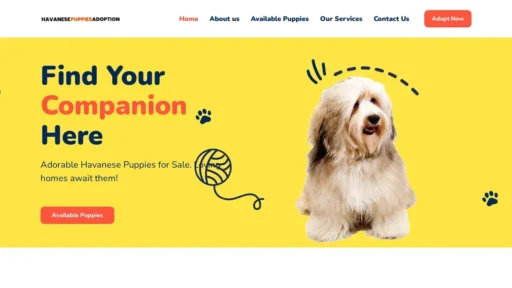 A screenshot of Havanesepuppiesadoption.com