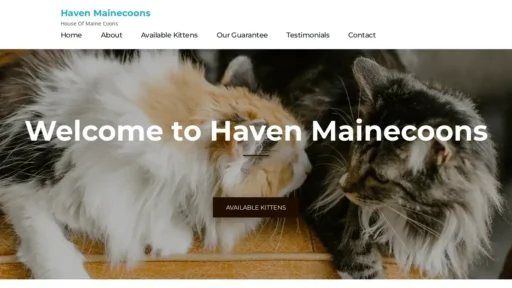 A screenshot of Havenmainecoons.com