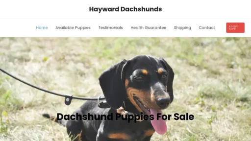 A screenshot of Haywarddachshunds.com