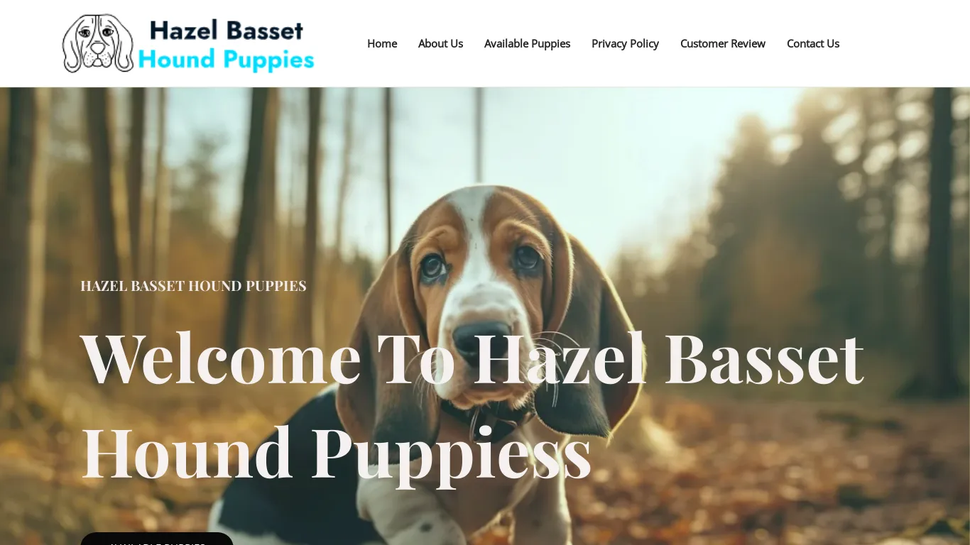 is Hazel Basset Hound Puppies – Quality Basset Hound Puppies legit? screenshot