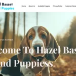 Is Hazelbassethoundpuppies.com legit?