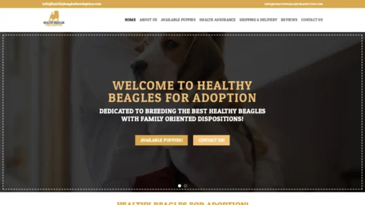 A screenshot of Healthybeaglesforadoption.com