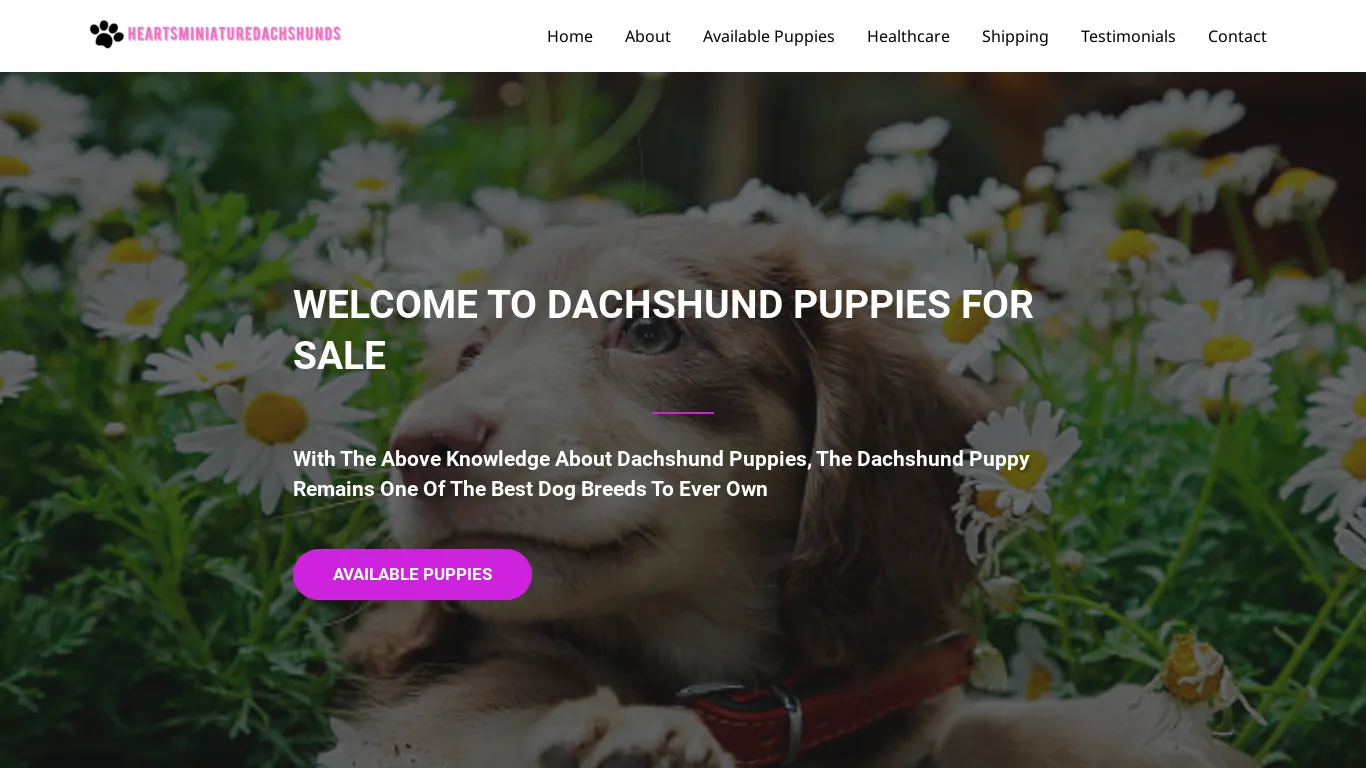 is heartsminiaturedachshunds.online legit? screenshot