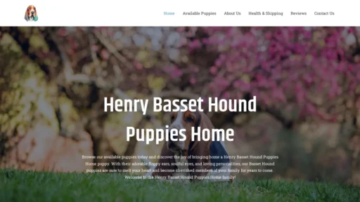 A screenshot of Henrybassethoundpuppieshome.com