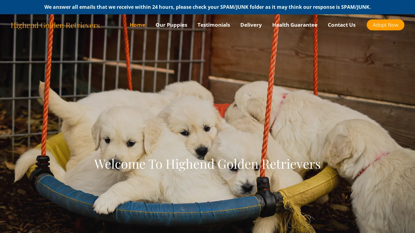 is Highend Golden Retrievers – Purebred Golden Retrievers For Sale legit? screenshot